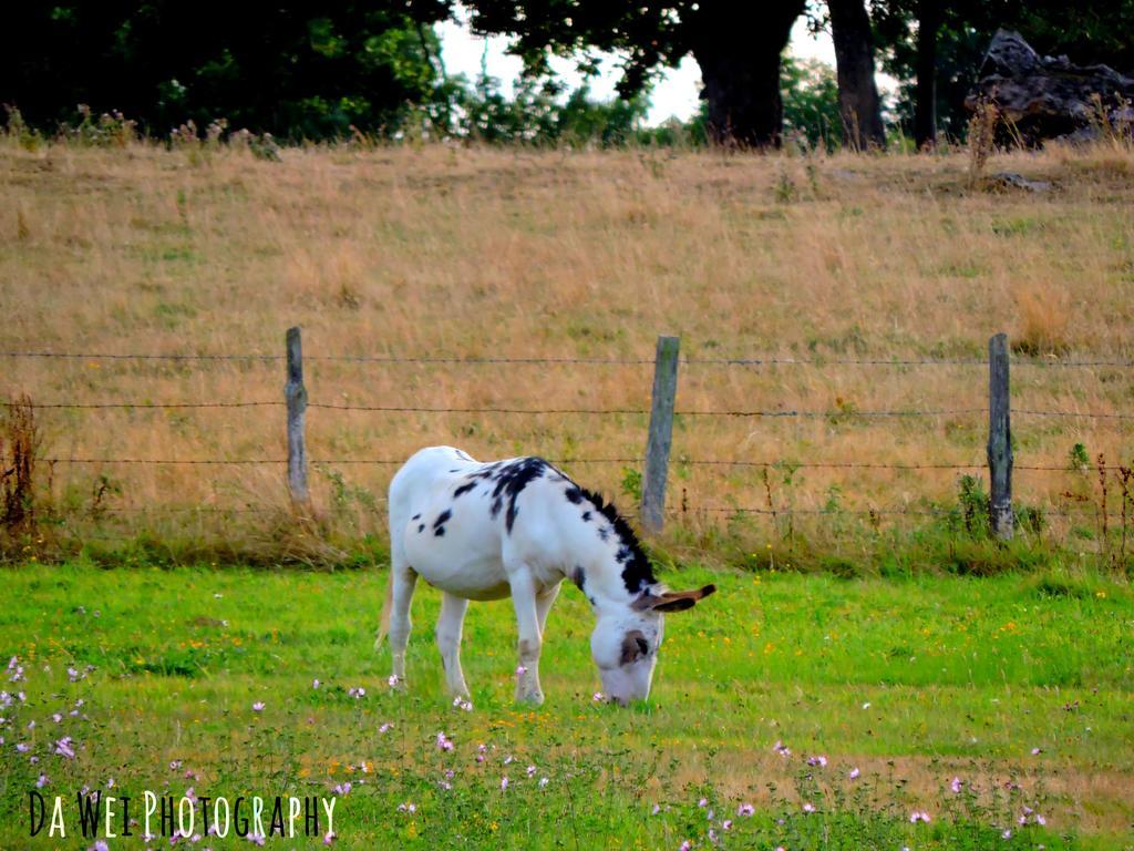Holiday home Le Bourgneuf *