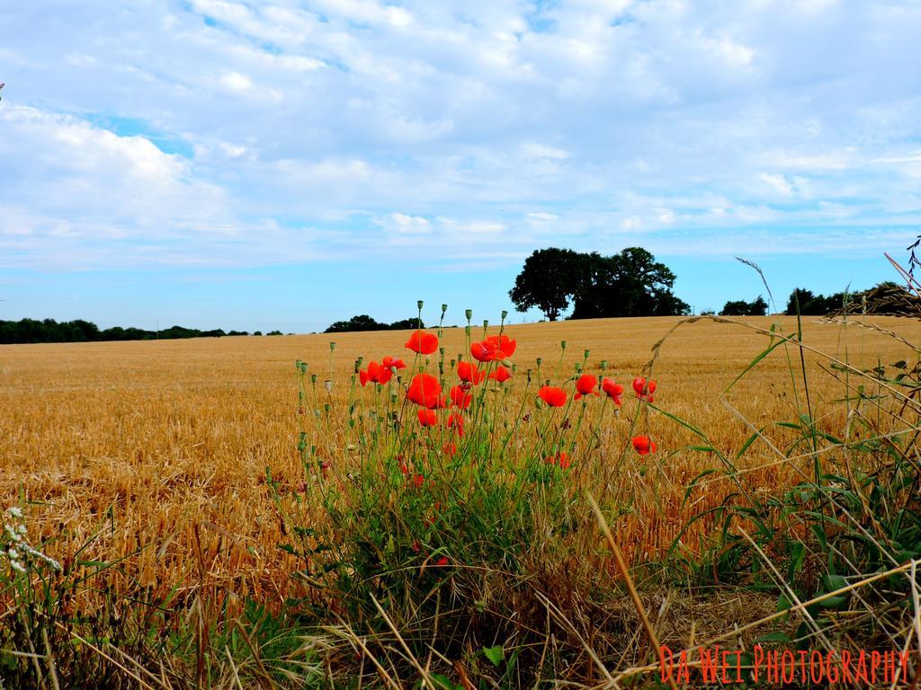 Le Bourgneuf Holiday home *